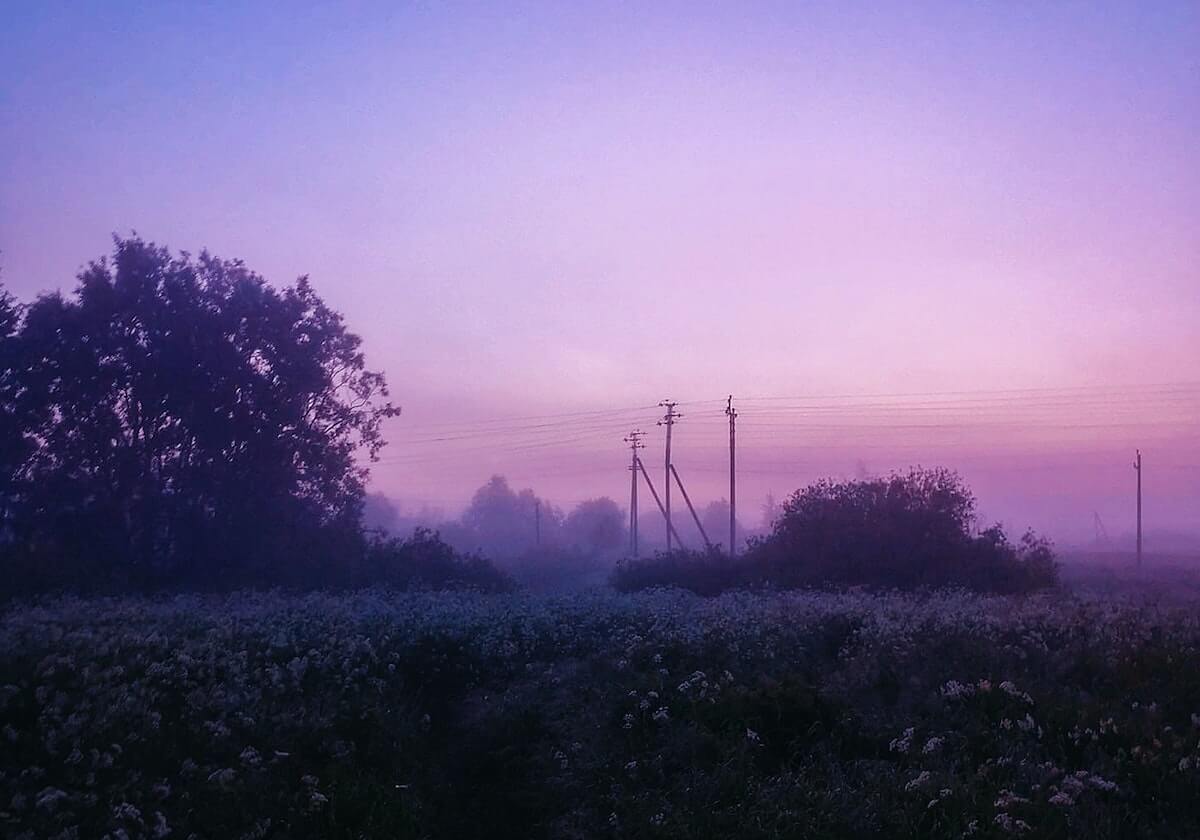 半岛体育娱乐-高光时刻:Tarzan赵信化身闪光,迅猛攻势三比一战胜NIP